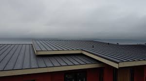 Best Sheet Metal Roofing  in River Road, WA